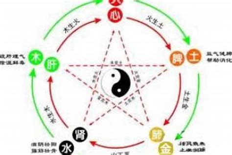 虎的五行|生肖属虎人五行分析